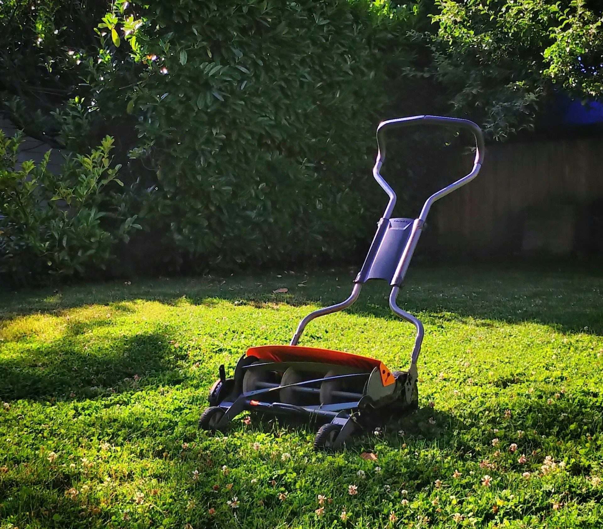 Comment entretenir sa pelouse ?