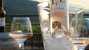 le vin rosé du var se déguste tout au long d’un repas