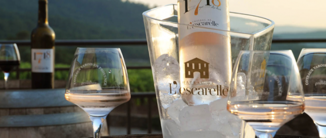 le vin rosé du var se déguste tout au long d’un repas